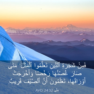 Picture 03 - مَتَّى 24:32 AVD - فَمِنْ شَجَرَةِ ٱلتِّينِ - Bible Verse Picture