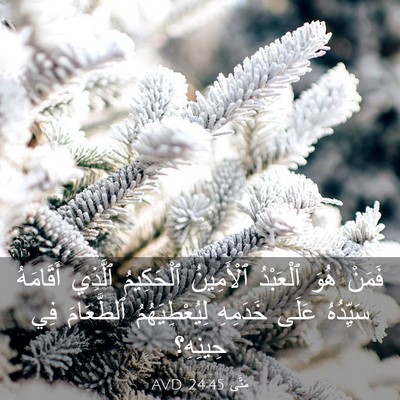 Picture 03 - مَتَّى 24:45 AVD - فَمَنْ هُوَ ٱلْعَبْدُ - Bible Verse Picture