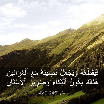 Picture 03 - مَتَّى 24:51 AVD - فَيُقَطِّعُهُ وَيَجْعَلُ - Bible Verse Picture