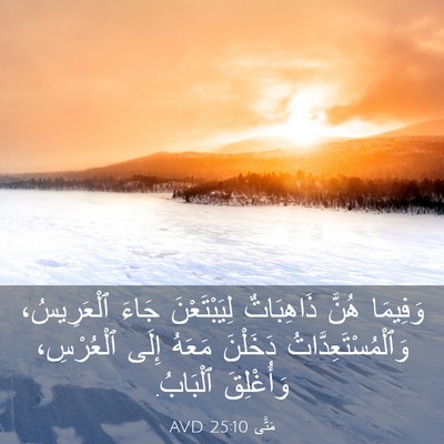 Picture 03 - مَتَّى 25:10 AVD - وَفِيمَا هُنَّ ذَاهِبَاتٌ - Bible Verse Picture