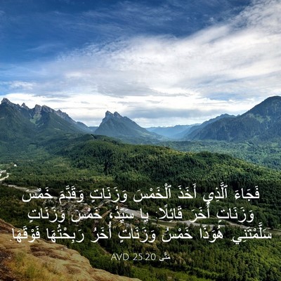 Picture 03 - مَتَّى 25:20 AVD - فَجَاءَ ٱلَّذِي أَخَذَ - Bible Verse Picture
