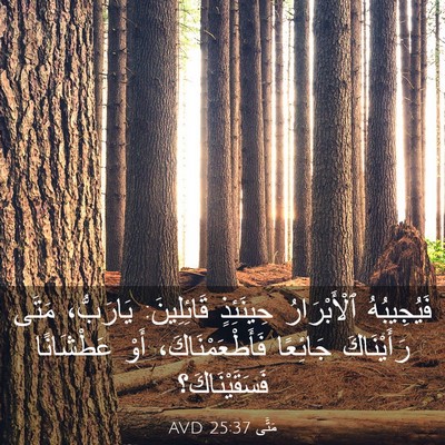 Picture 03 - مَتَّى 25:37 AVD - فَيُجِيبُهُ ٱلْأَبْرَارُ - Bible Verse Picture