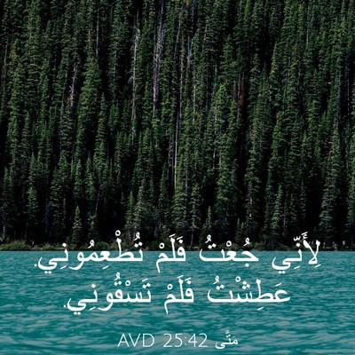 Picture 03 - مَتَّى 25:42 AVD - لِأَنِّي جُعْتُ فَلَمْ - Bible Verse Picture