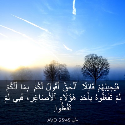 Picture 03 - مَتَّى 25:45 AVD - فَيُجِيبُهُمْ قَائِلًا: - Bible Verse Picture