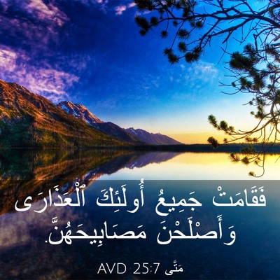 Picture 03 - مَتَّى 25:7 AVD - فَقَامَتْ جَمِيعُ - Bible Verse Picture