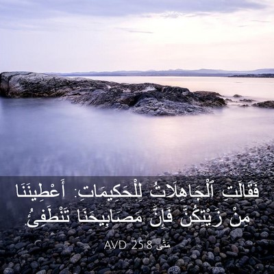 Picture 03 - مَتَّى 25:8 AVD - فَقَالَتِ ٱلْجَاهِلَاتُ - Bible Verse Picture