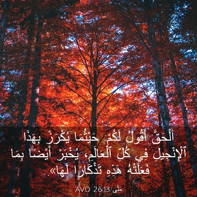 Picture 03 - مَتَّى 26:13 AVD - اَلْحَقَّ أَقُولُ لَكُمْ: - Bible Verse Picture