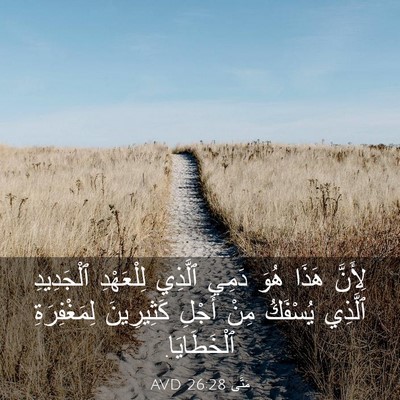 Picture 03 - مَتَّى 26:28 AVD - لِأَنَّ هَذَا هُوَ دَمِي - Bible Verse Picture