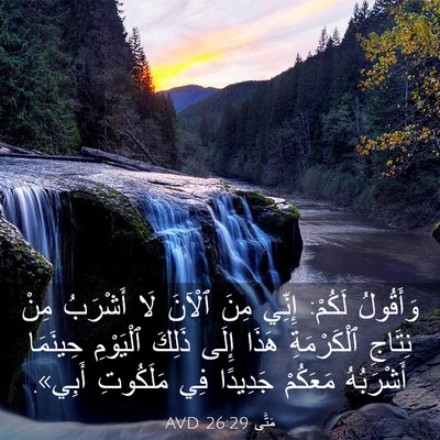 Picture 03 - مَتَّى 26:29 AVD - وَأَقُولُ لَكُمْ: إِنِّي - Bible Verse Picture