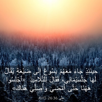 Picture 03 - مَتَّى 26:36 AVD - حِينَئِذٍ جَاءَ مَعَهُمْ - Bible Verse Picture