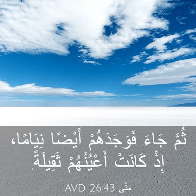 Picture 03 - مَتَّى 26:43 AVD - ثُمَّ جَاءَ فَوَجَدَهُمْ - Bible Verse Picture
