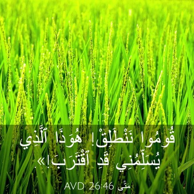 Picture 03 - مَتَّى 26:46 AVD - قُومُوا نَنْطَلِقْ! - Bible Verse Picture