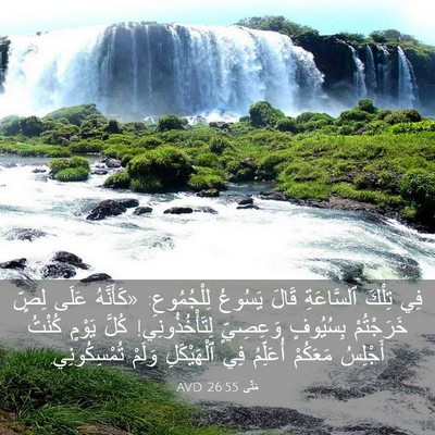 Picture 03 - مَتَّى 26:55 AVD - فِي تِلْكَ ٱلسَّاعَةِ - Bible Verse Picture