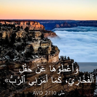 Picture 03 - مَتَّى 27:10 AVD - وَأَعْطَوْهَا عَنْ حَقْلِ - Bible Verse Picture