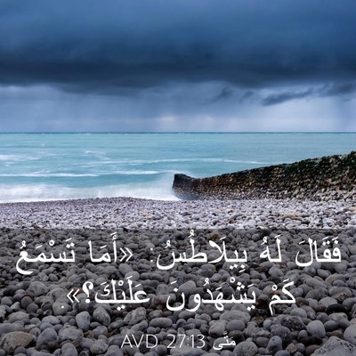 Picture 03 - مَتَّى 27:13 AVD - فَقَالَ لَهُ بِيلَاطُسُ: - Bible Verse Picture