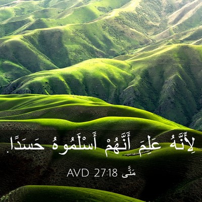 Picture 03 - مَتَّى 27:18 AVD - لِأَنَّهُ عَلِمَ - Bible Verse Picture