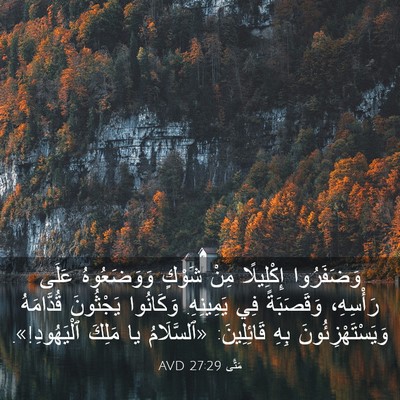 Picture 03 - مَتَّى 27:29 AVD - وَضَفَرُوا إِكْلِيلًا - Bible Verse Picture