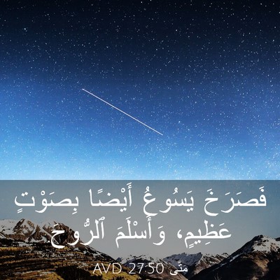 Picture 03 - مَتَّى 27:50 AVD - فَصَرَخَ يَسُوعُ أَيْضًا - Bible Verse Picture