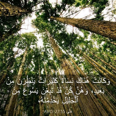 Picture 03 - مَتَّى 27:55 AVD - وَكَانَتْ هُنَاكَ نِسَاءٌ - Bible Verse Picture