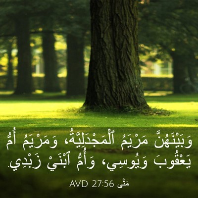 Picture 03 - مَتَّى 27:56 AVD - وَبَيْنَهُنَّ مَرْيَمُ - Bible Verse Picture