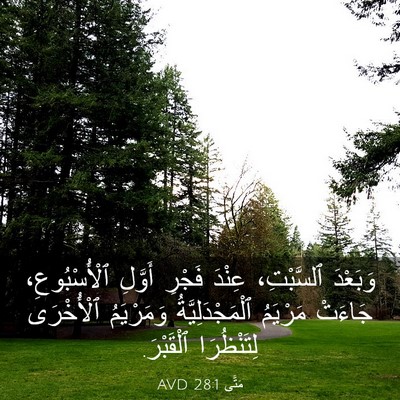 Picture 03 - مَتَّى 28:1 AVD - وَبَعْدَ ٱلسَّبْتِ، - Bible Verse Picture