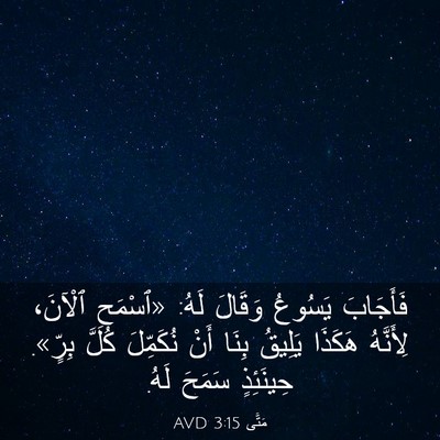 Picture 03 - مَتَّى 3:15 AVD - فَأَجَابَ يَسُوعُ وَقَالَ - Bible Verse Picture