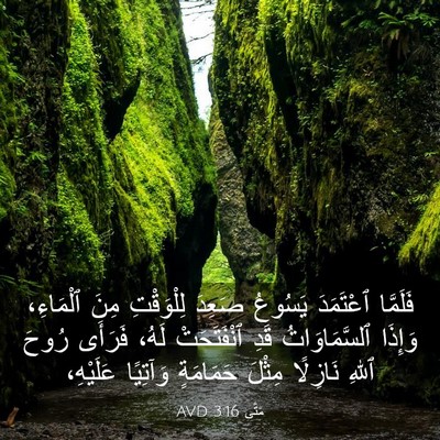 Picture 03 - مَتَّى 3:16 AVD - فَلَمَّا ٱعْتَمَدَ - Bible Verse Picture