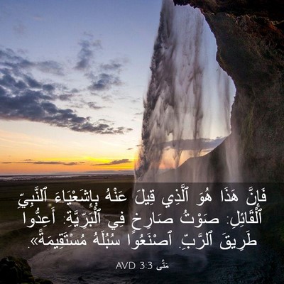 Picture 03 - مَتَّى 3:3 AVD - فَإِنَّ هَذَا هُوَ ٱلَّذِي - Bible Verse Picture