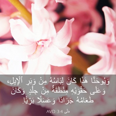 Picture 03 - مَتَّى 3:4 AVD - وَيُوحَنَّا هَذَا كَانَ - Bible Verse Picture