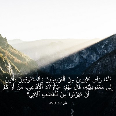 Picture 03 - مَتَّى 3:7 AVD - فَلَمَّا رَأَى كَثِيرِينَ - Bible Verse Picture
