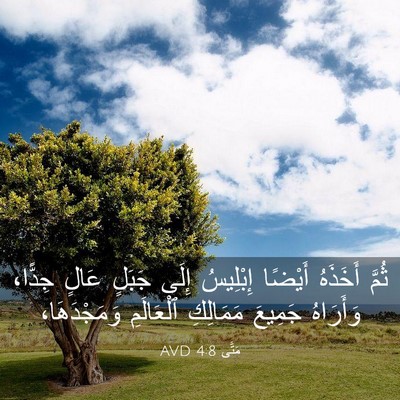 Picture 03 - مَتَّى 4:8 AVD - ثُمَّ أَخَذَهُ أَيْضًا - Bible Verse Picture