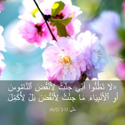 Picture 03 - مَتَّى 5:17 AVD - «لَا تَظُنُّوا أَنِّي - Bible Verse Picture