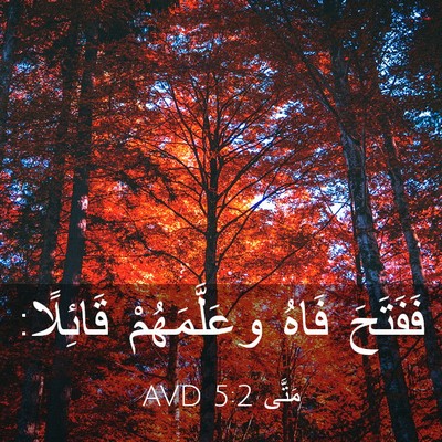 Picture 03 - مَتَّى 5:2 AVD - فَفَتَحَ فَاهُ - Bible Verse Picture
