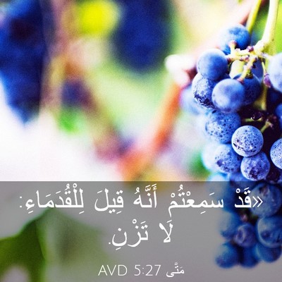 Picture 03 - مَتَّى 5:27 AVD - «قَدْ سَمِعْتُمْ أَنَّهُ - Bible Verse Picture