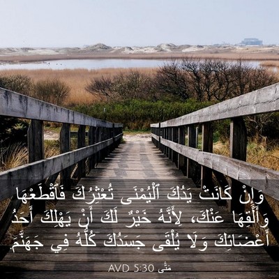 Picture 03 - مَتَّى 5:30 AVD - وَإِنْ كَانَتْ يَدُكَ - Bible Verse Picture