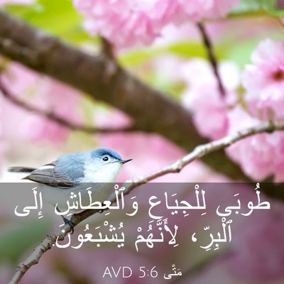 Picture 03 - مَتَّى 5:6 AVD - طُوبَى لِلْجِيَاعِ - Bible Verse Picture