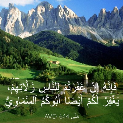 Picture 03 - مَتَّى 6:14 AVD - فَإِنَّهُ إِنْ غَفَرْتُمْ - Bible Verse Picture