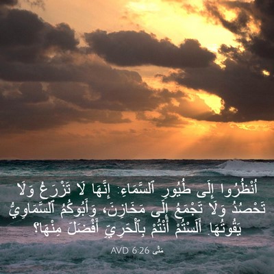 Picture 03 - مَتَّى 6:26 AVD - اُنْظُرُوا إِلَى طُيُورِ - Bible Verse Picture