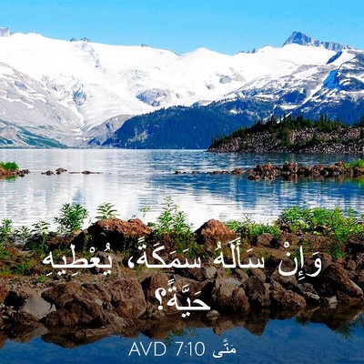 Picture 03 - مَتَّى 7:10 AVD - وَإِنْ سَأَلَهُ سَمَكَةً، - Bible Verse Picture