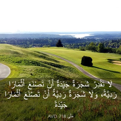 Picture 03 - مَتَّى 7:18 AVD - لَا تَقْدِرُ شَجَرَةٌ - Bible Verse Picture