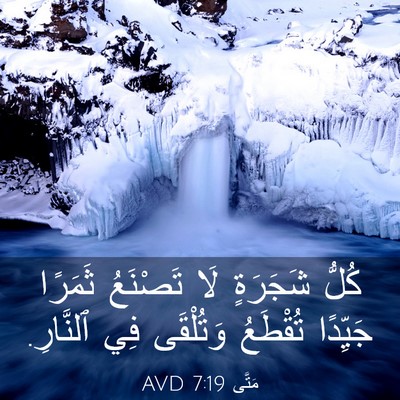 Picture 03 - مَتَّى 7:19 AVD - كُلُّ شَجَرَةٍ لَا - Bible Verse Picture