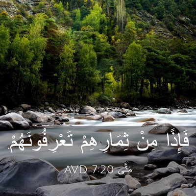 Picture 03 - مَتَّى 7:20 AVD - فَإِذًا مِنْ ثِمَارِهِمْ - Bible Verse Picture