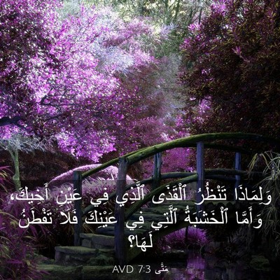 Picture 03 - مَتَّى 7:3 AVD - وَلِمَاذَا تَنْظُرُ - Bible Verse Picture