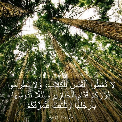 Picture 03 - مَتَّى 7:6 AVD - لَا تُعْطُوا ٱلْقُدْسَ - Bible Verse Picture