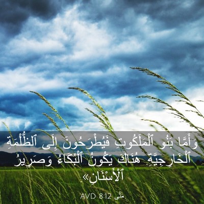 Picture 03 - مَتَّى 8:12 AVD - وَأَمَّا بَنُو - Bible Verse Picture