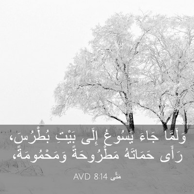 Picture 03 - مَتَّى 8:14 AVD - وَلَمَّا جَاءَ يَسُوعُ - Bible Verse Picture