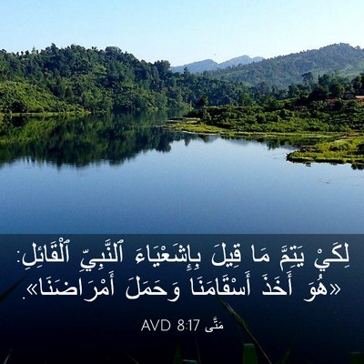 Picture 03 - مَتَّى 8:17 AVD - لِكَيْ يَتِمَّ مَا قِيلَ - Bible Verse Picture