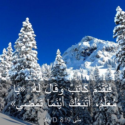 Picture 03 - مَتَّى 8:19 AVD - فَتَقَدَّمَ كَاتِبٌ - Bible Verse Picture