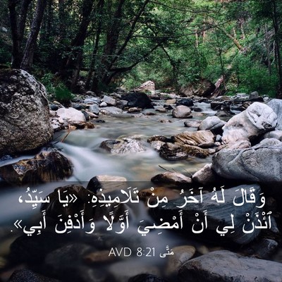 Picture 03 - مَتَّى 8:21 AVD - وَقَالَ لَهُ آخَرُ مِنْ - Bible Verse Picture
