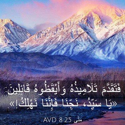 Picture 03 - مَتَّى 8:25 AVD - فَتَقَدَّمَ تَلَامِيذُهُ - Bible Verse Picture
